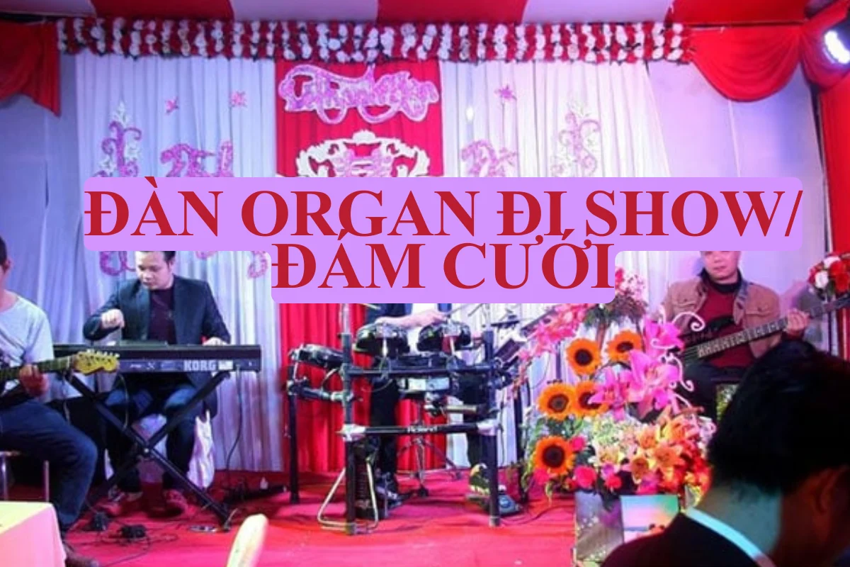 Cách chọn đàn organ đi show đám cưới chuyên nghiệp
