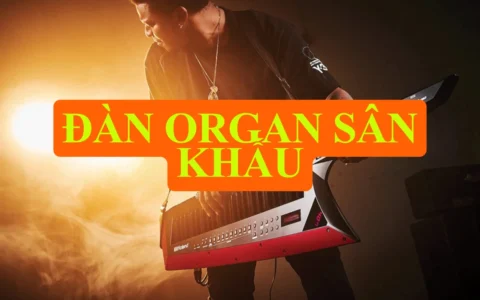 dan organ san khau