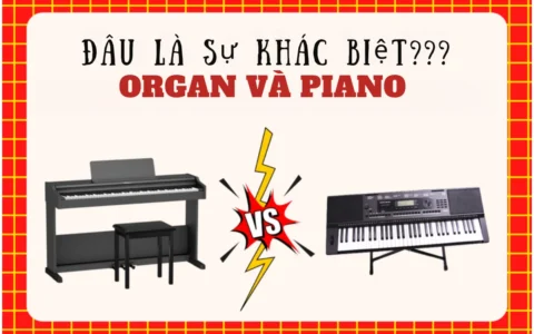 Đàn organ và piano: So sánh chi tiết để chọn lựa đúng