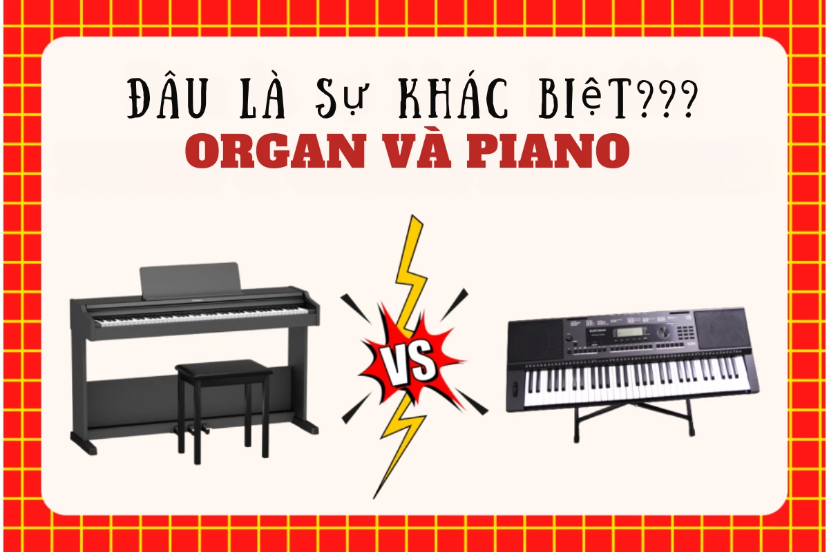 Đàn organ và piano: So sánh chi tiết để chọn lựa đúng