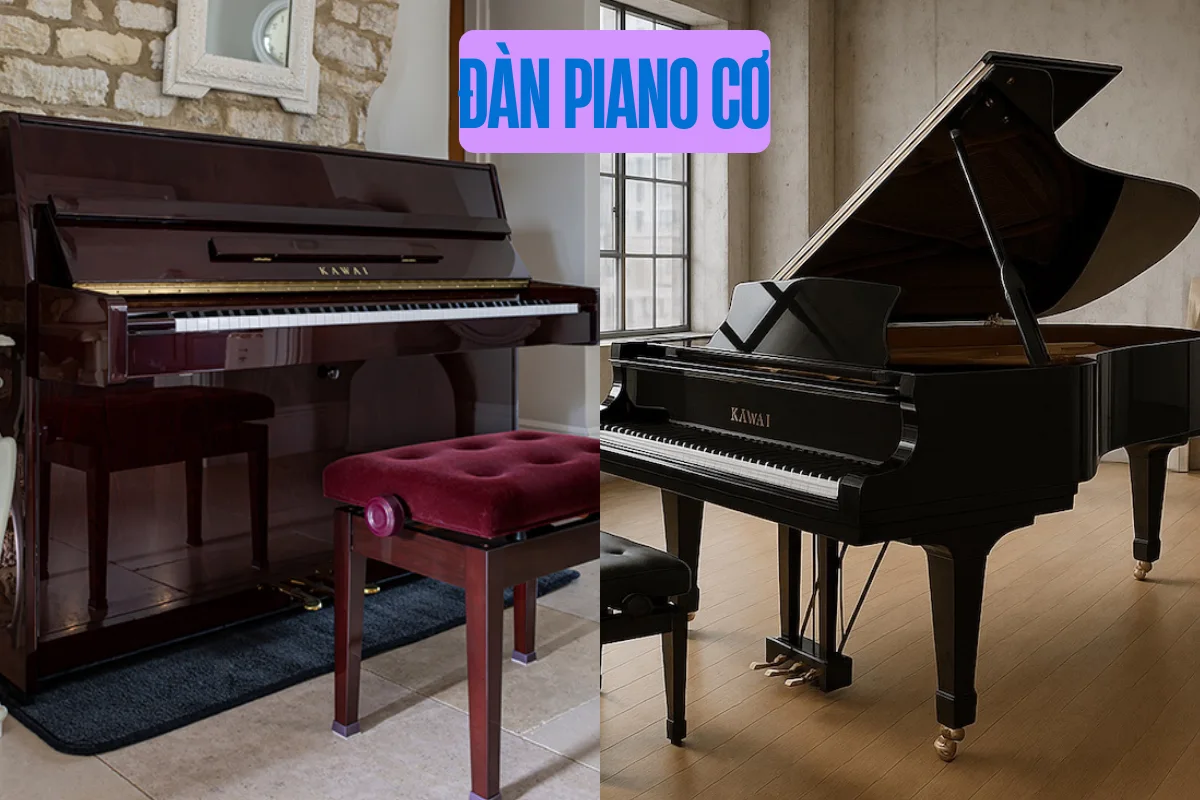 Đàn piano cơ: Cấu tạo, âm thanh, phân loại và giá bán chi tiết