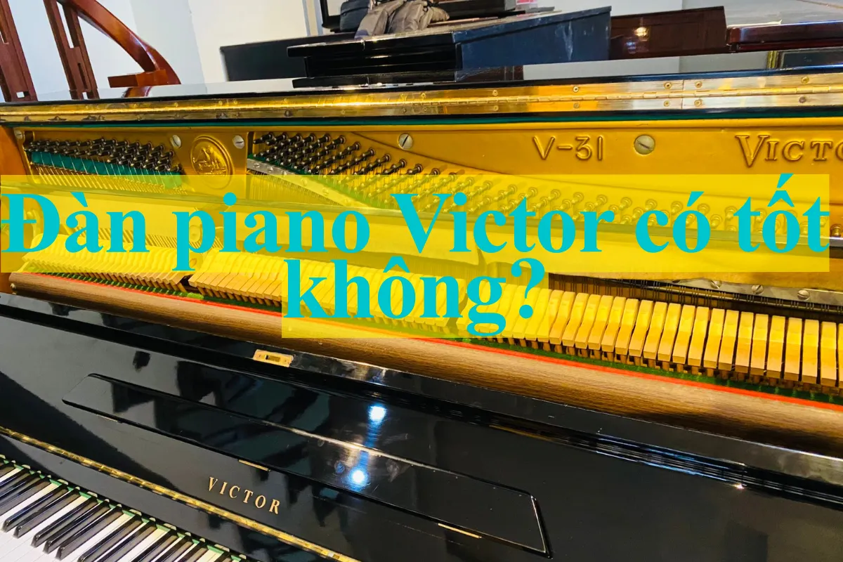 Đàn piano Victor có tốt không? Đánh giá chi tiết cho người mới bắt đầu