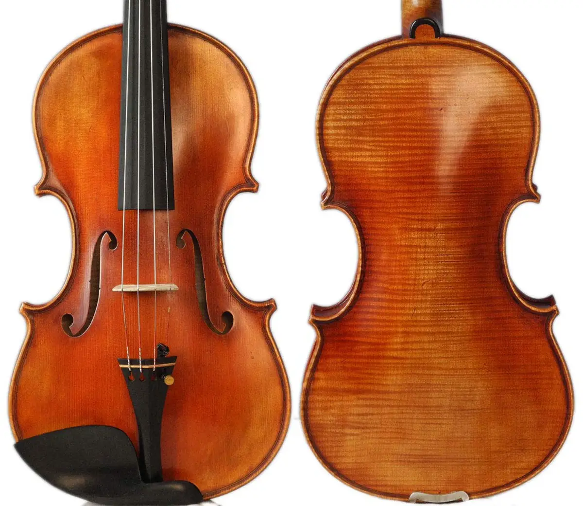 dan violin guarneri del gesu