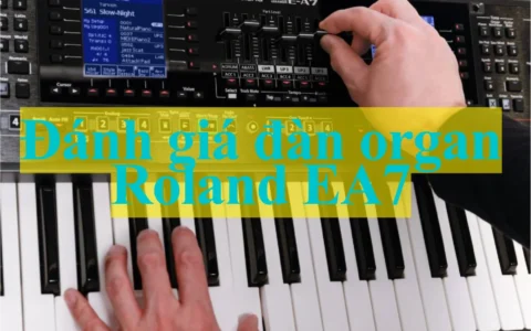 Đánh giá đàn organ Roland E-A7 cho biểu diễn live
