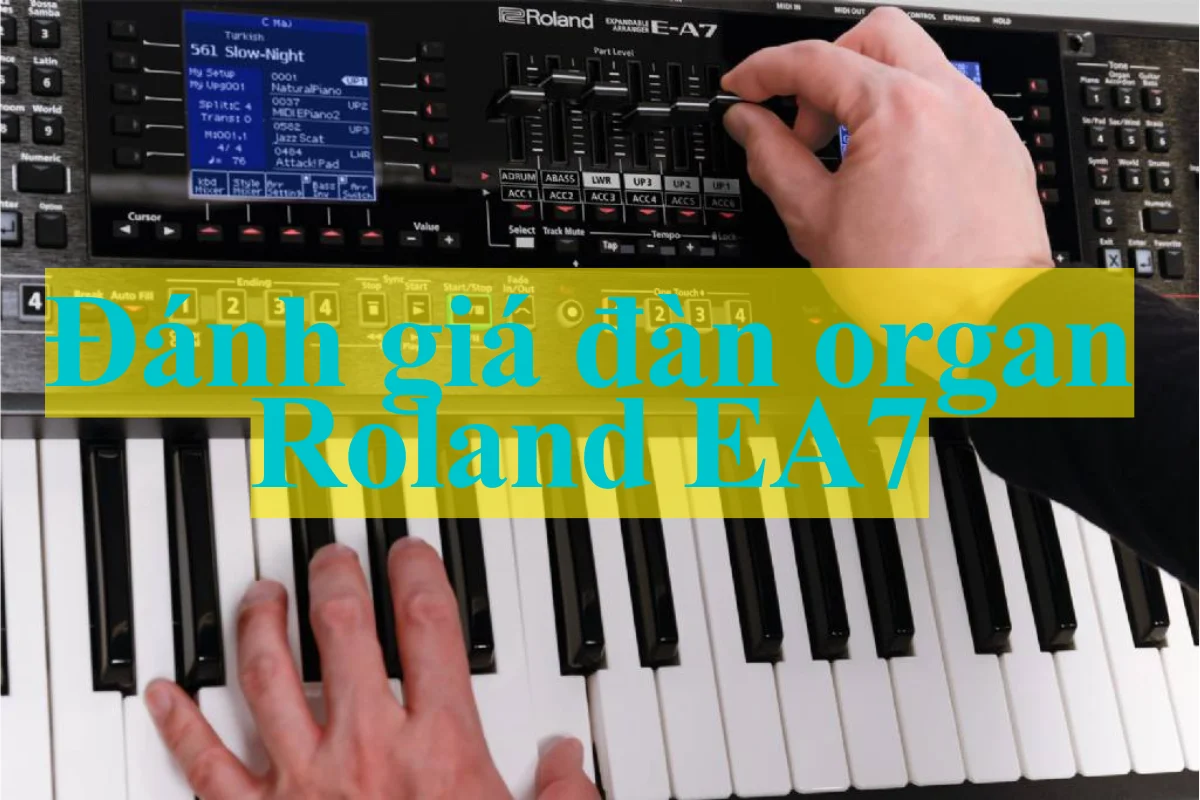 Đánh giá đàn organ Roland E-A7 cho biểu diễn live