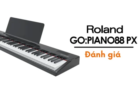 Đánh giá đàn piano điện Roland GO-88PX chi tiết và dễ hiểu
