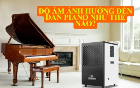 do am anh huong den dan piano nhu the nao