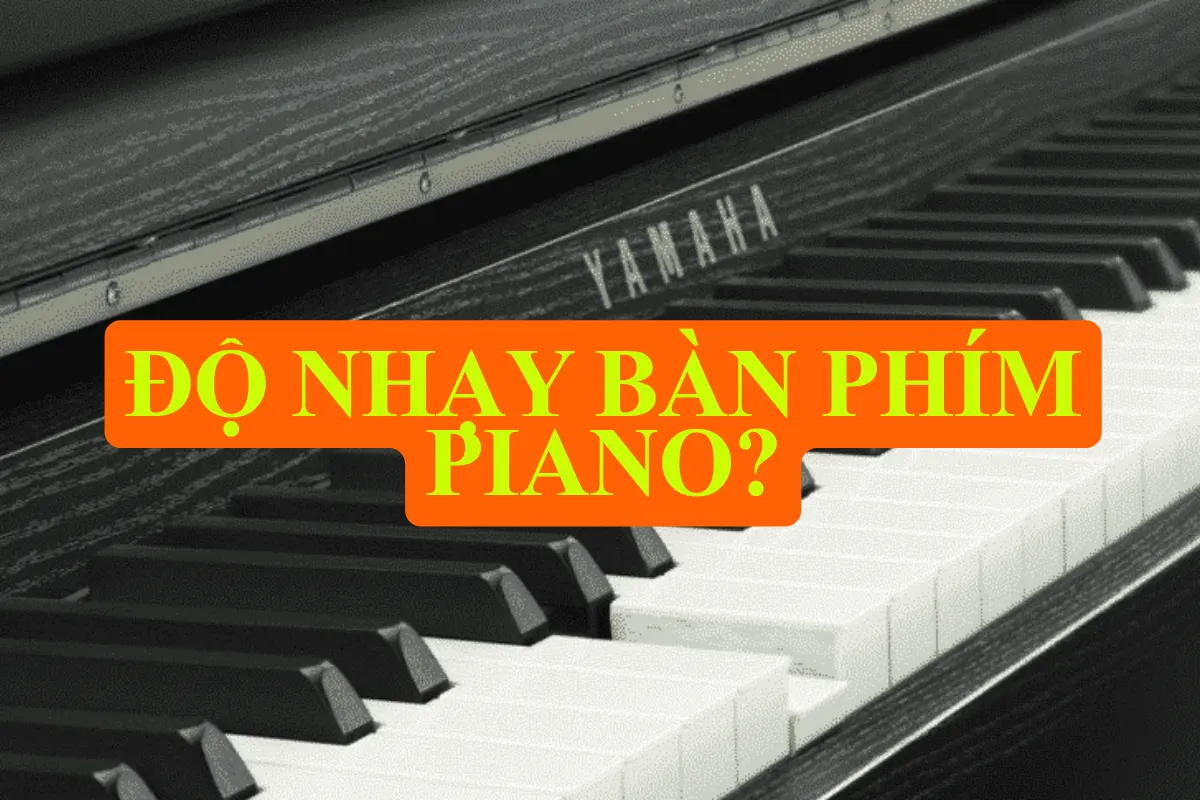 Độ nhạy bàn phím piano là gì? Cách kiểm tra và điều chỉnh