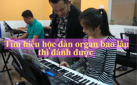Học đàn organ bao lâu thì đánh được? Toàn bộ lộ trình từ cơ bản đến chuyên nghiệp