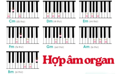 hop am organ