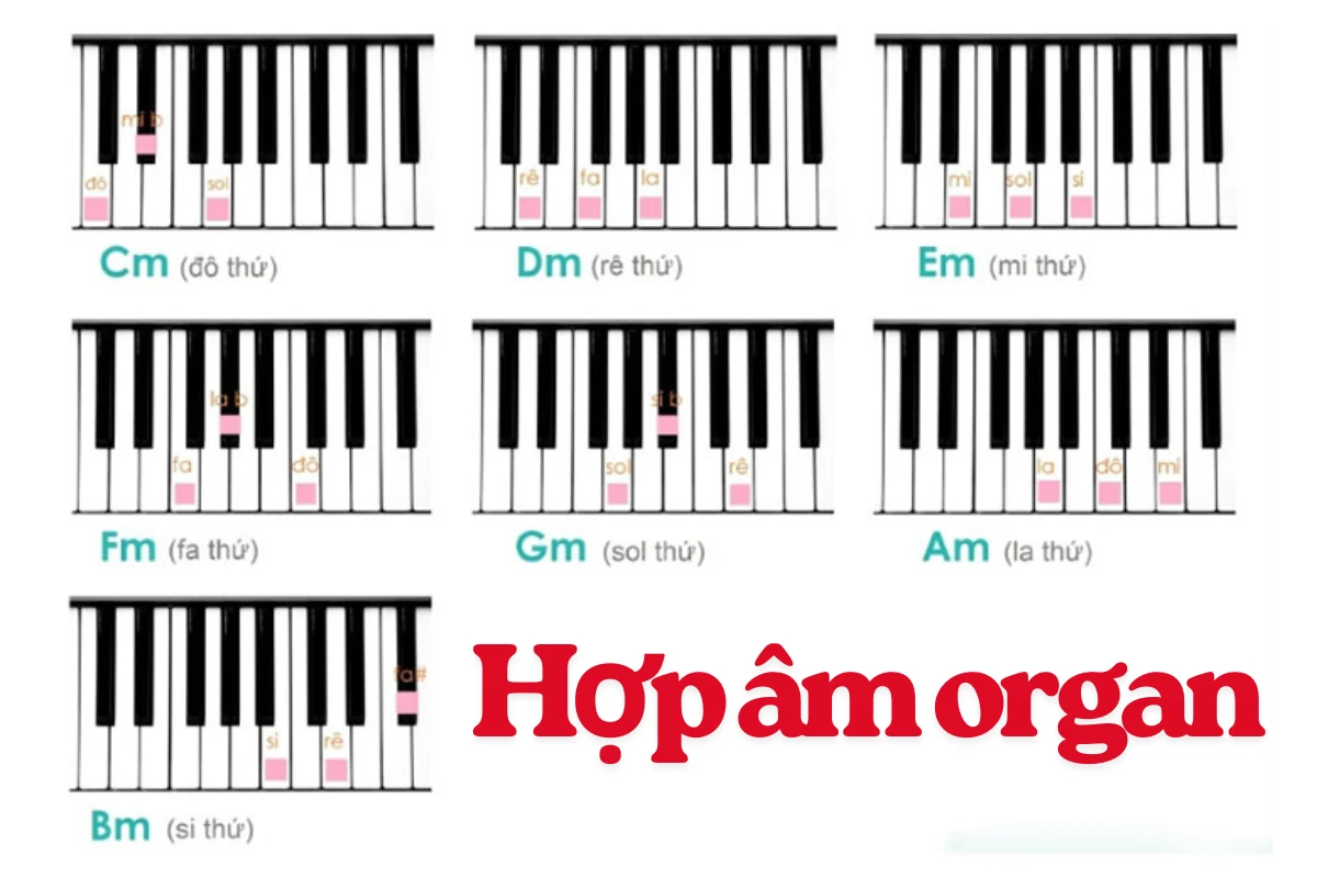 Hợp âm organ và cách bấm chi tiết từ cơ bản đến nâng cao