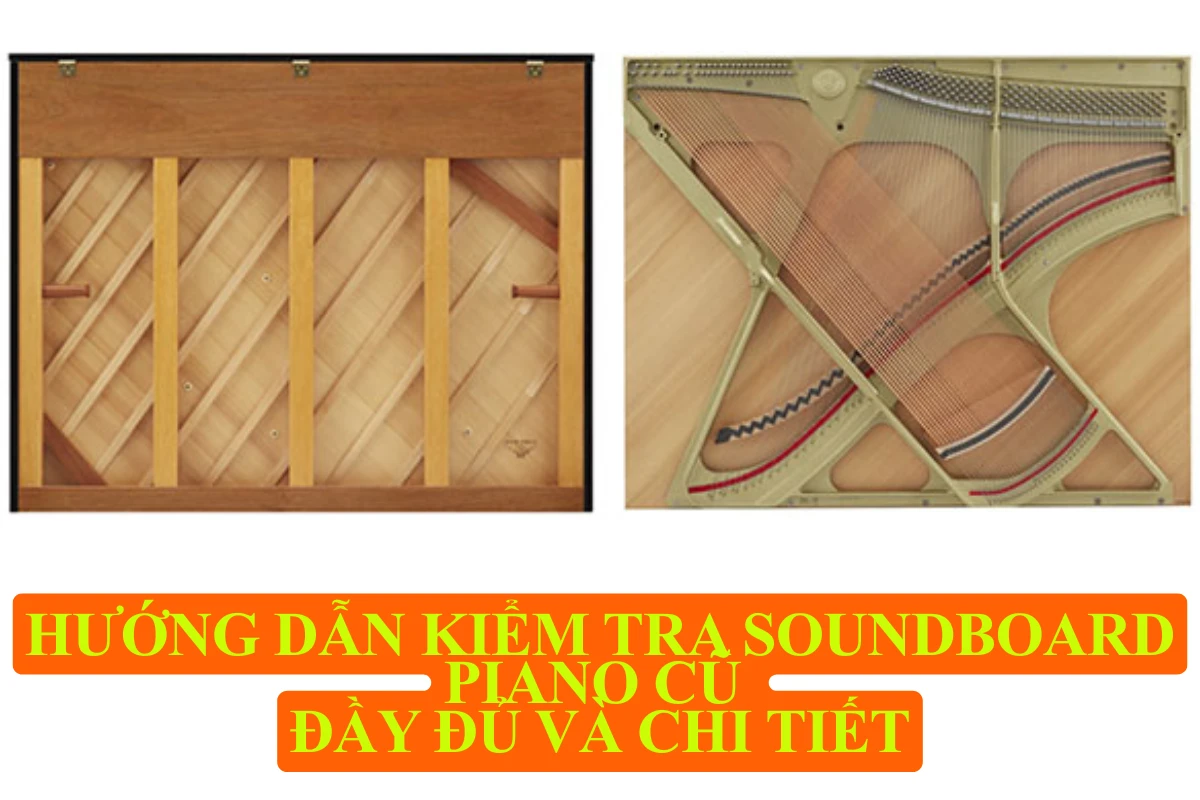 Hướng dẫn kiểm tra Soundboard piano cũ chi tiết