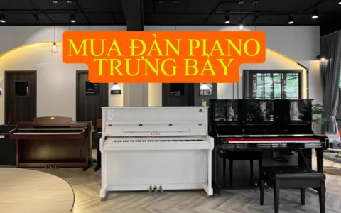 mua dan piano trung bay