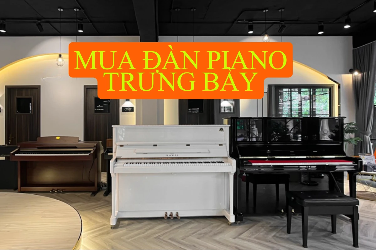 mua dan piano trung bay