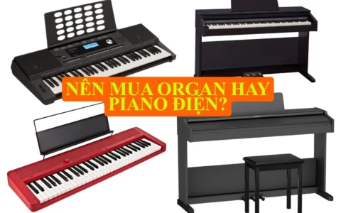 nen mua organ hay piano dien
