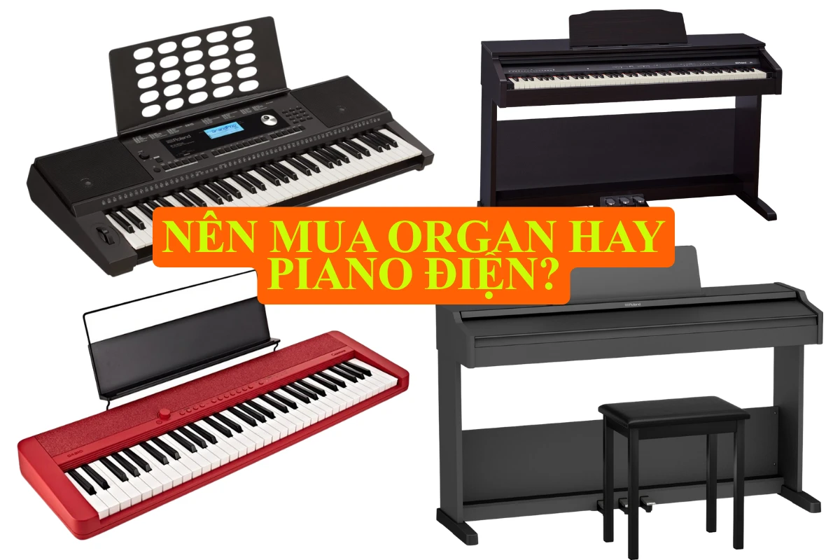 Nên mua organ hay piano điện? Lời khuyên chi tiết