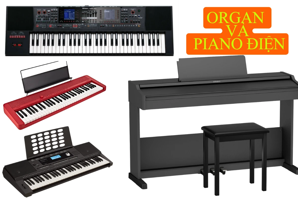 organ va piano dien