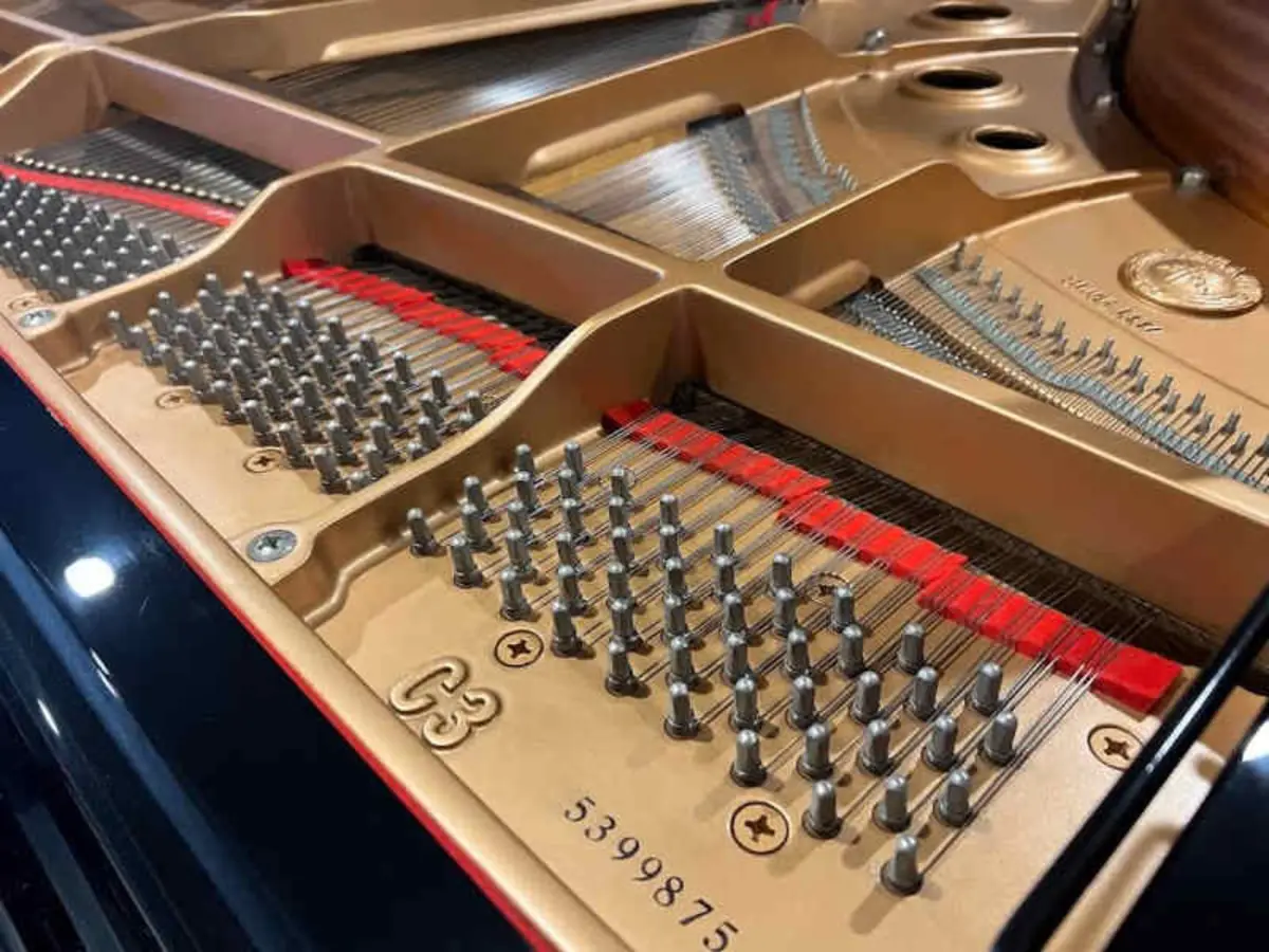 so serial tren grand piano