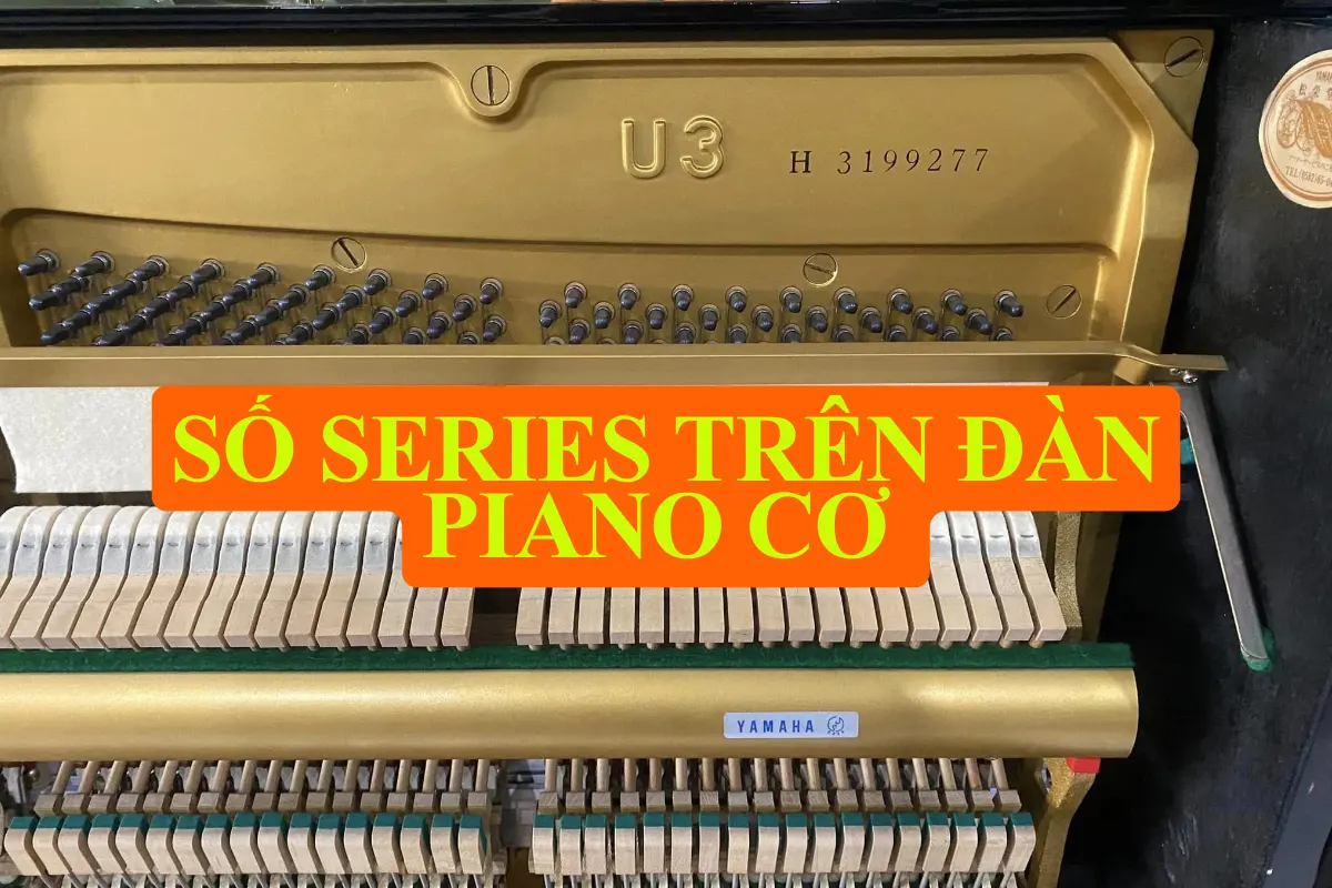 Số series trên đàn piano cơ và cách tra cứu chính xác