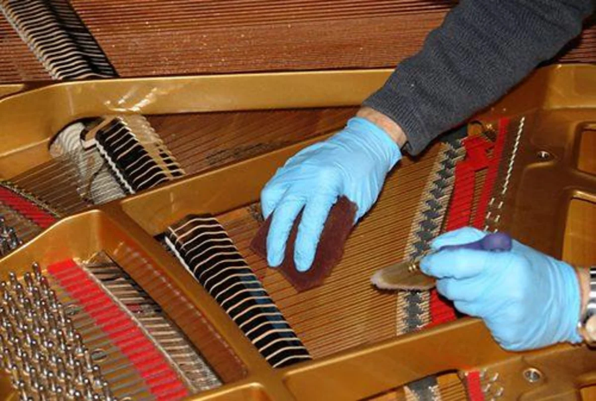 ve sinh bo may dan piano co