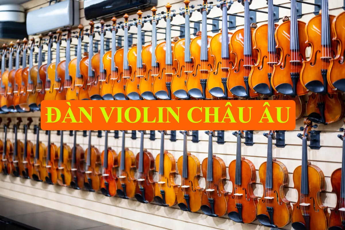 Đàn violin châu Âu: Đặc điểm và thông số kỹ thuật chi tiết