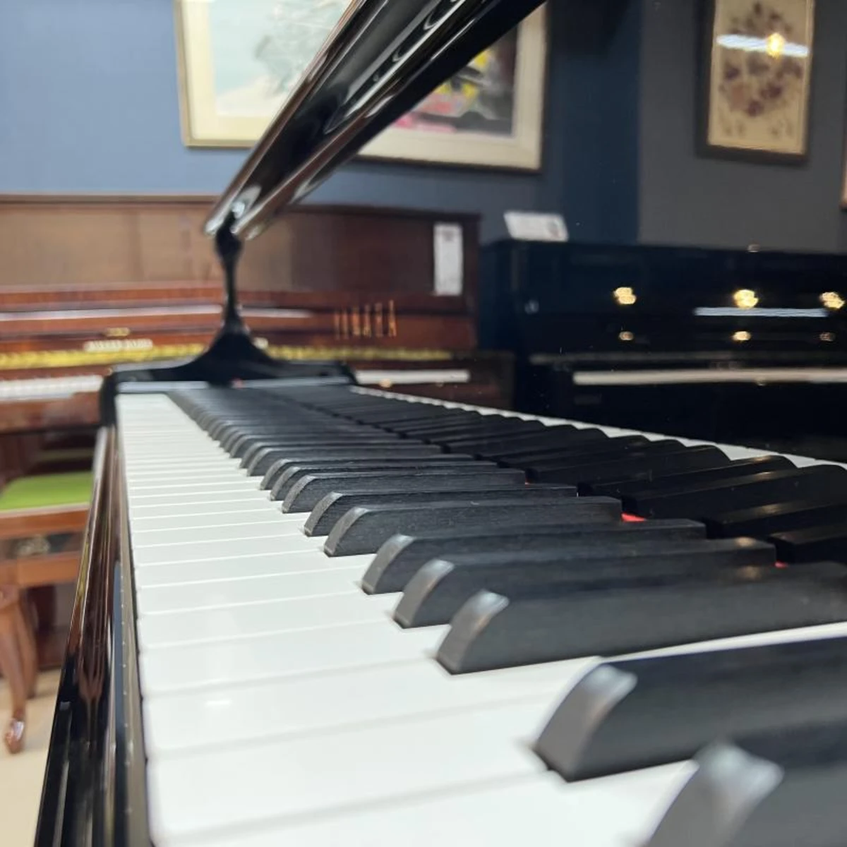 ban phim dan grand piano yamaha c3l