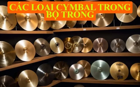 Các loại cymbal trong bộ trống bạn cần biết