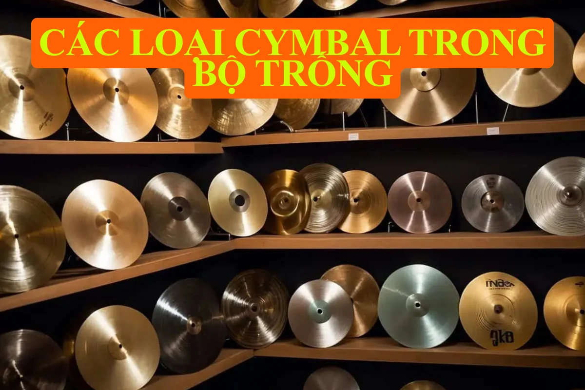 Các loại cymbal trong bộ trống bạn cần biết