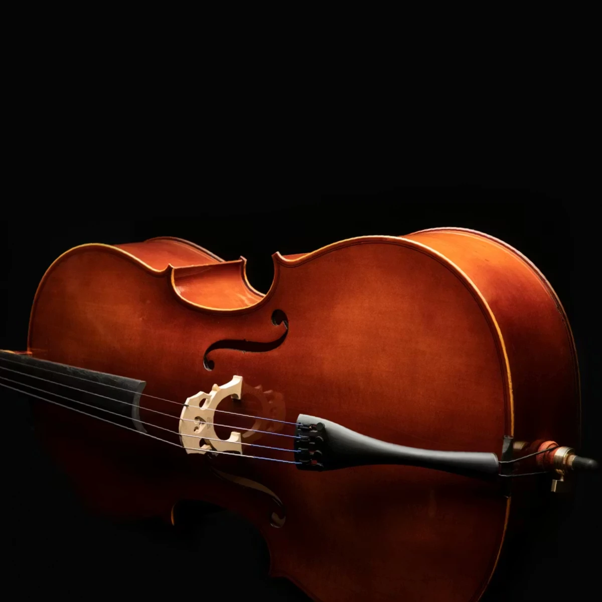 dan cello eastman hoc tap ho tro toi da cho giao vien va hoc sinh