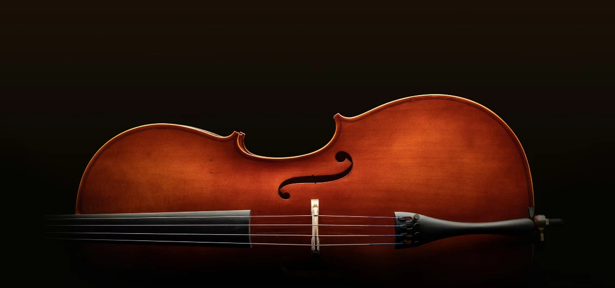 dan cello eastman hoc tap