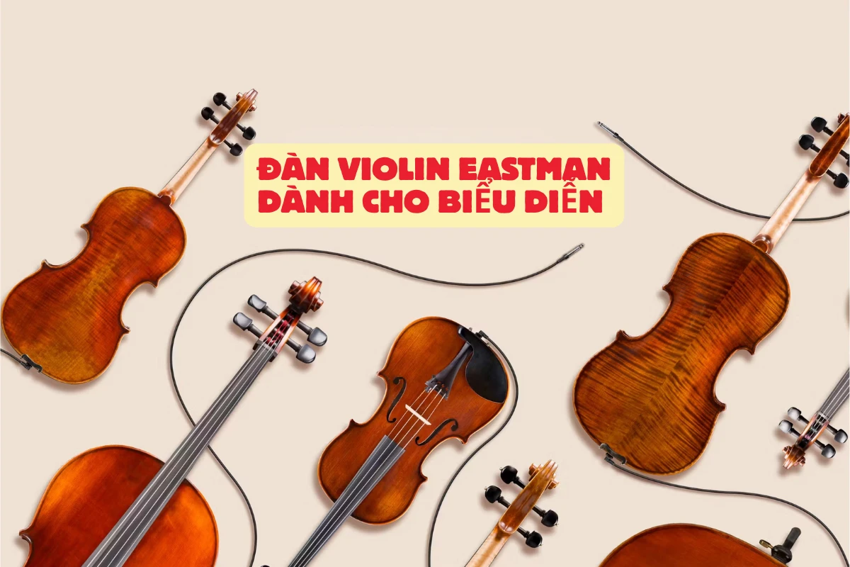 Đàn violin Eastman dành cho biểu diễn, nâng tầm kỹ thuật, tỏa sáng phong cách