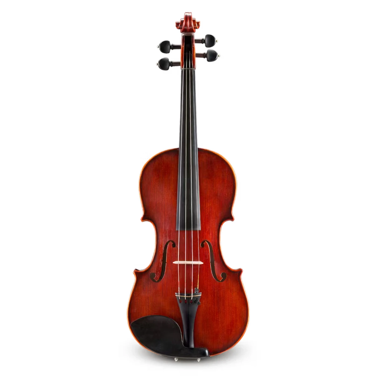 dan violin eastman giuseppe galiano vl5g