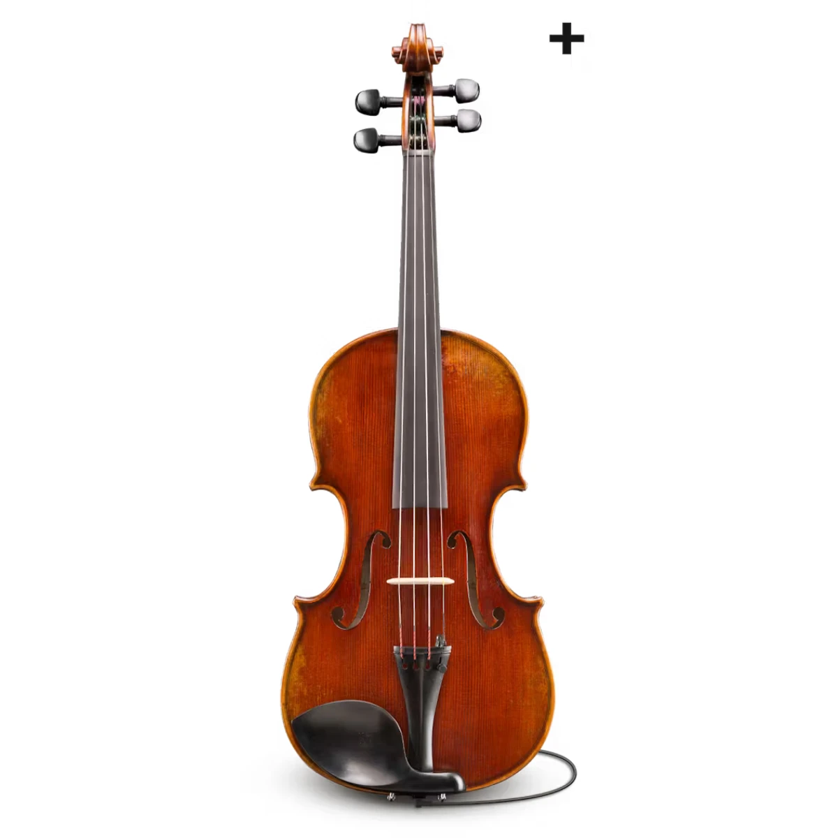 dan violin eastman rudoulf doetsch series vl701 plus