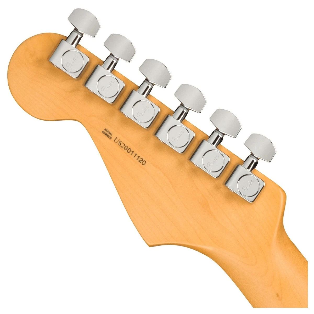 mat sau dau dan guitar dien fender american professional ii stratocaster® hss sienna sunburst