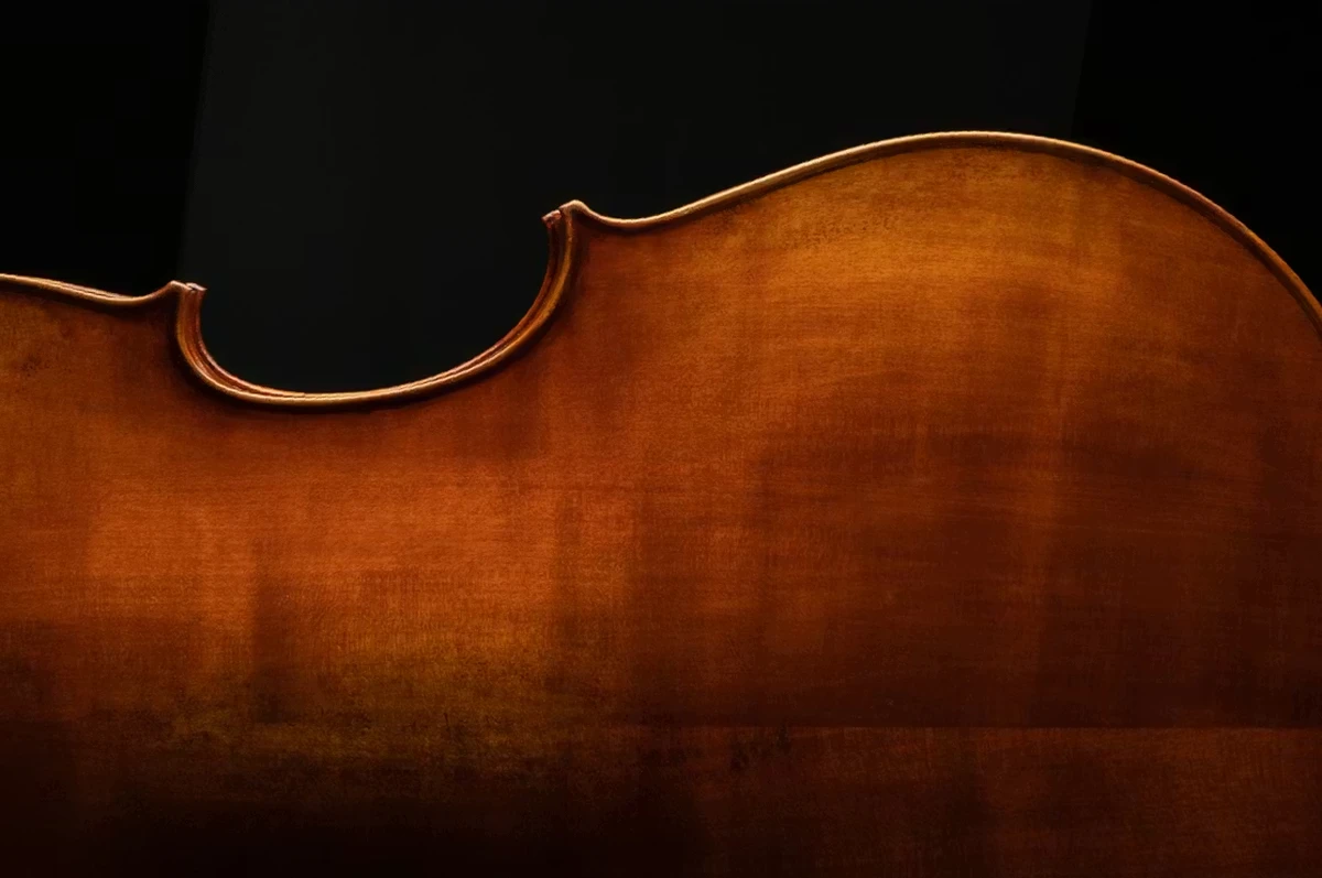 dan double bass eastman dong bieu dien che tac thu cong tinh xao