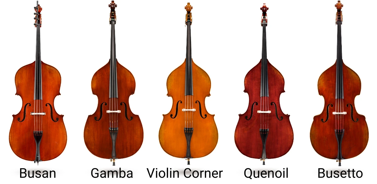 dan double bass eastman dong bieu dien da dang dang dan va kich thuoc