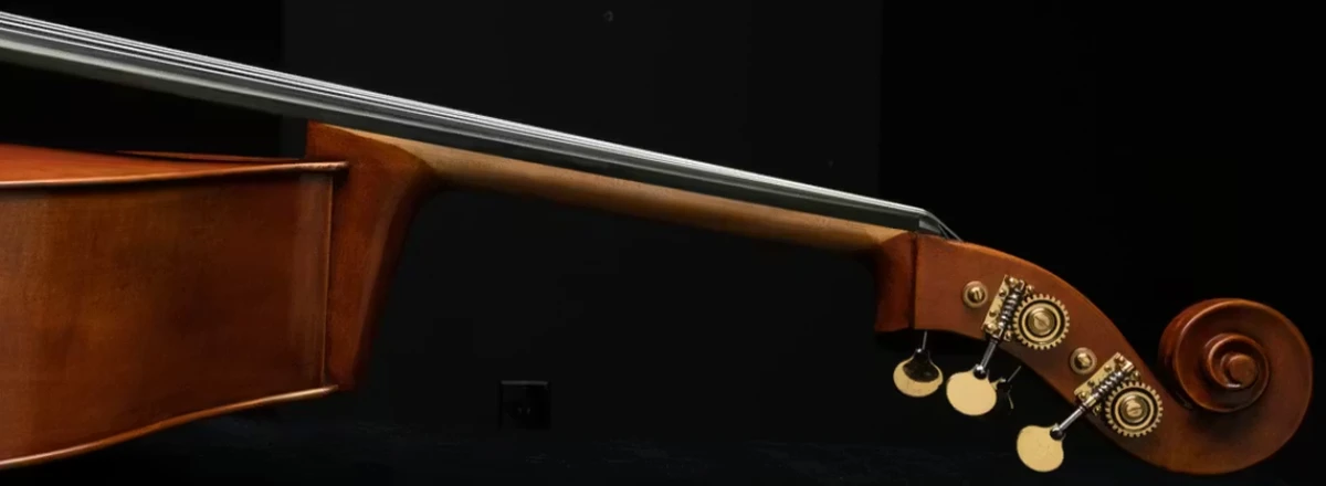 dan double bass eastman dong bieu dien de dang lam chu moi ky thuat bieu dien