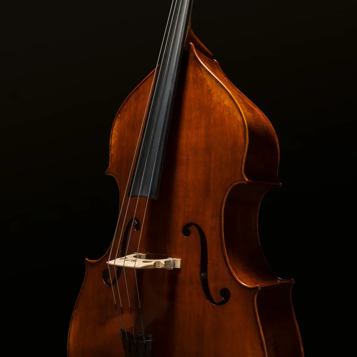dan double bass eastman dong bieu dien tu do the hien tren toan bo dai am vuc