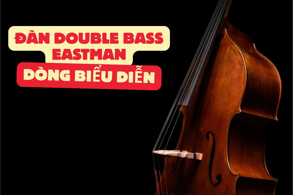 Đàn double bass Eastman dòng biểu diễn, sức mạnh sân khấu và đẳng cấp nghệ sĩ