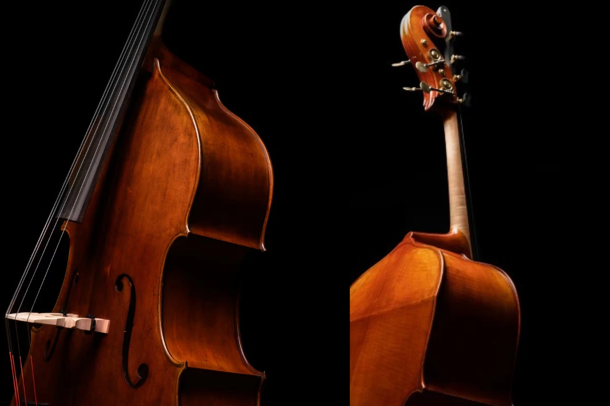 double bass eastman dong bieu dien