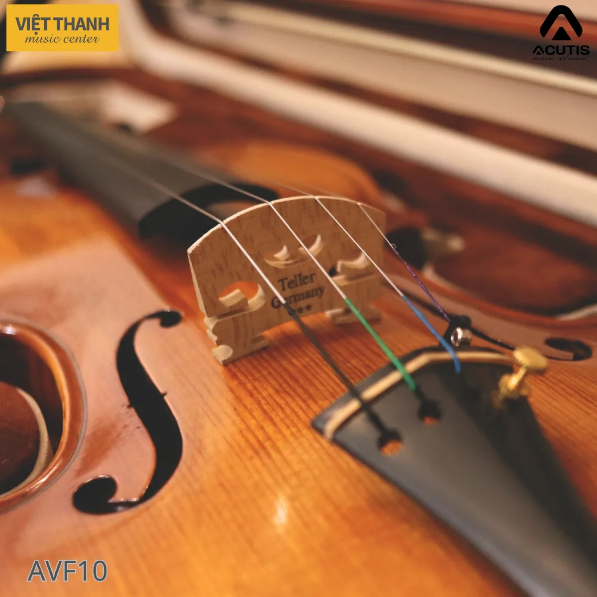 ngua dan violin acutis avf10