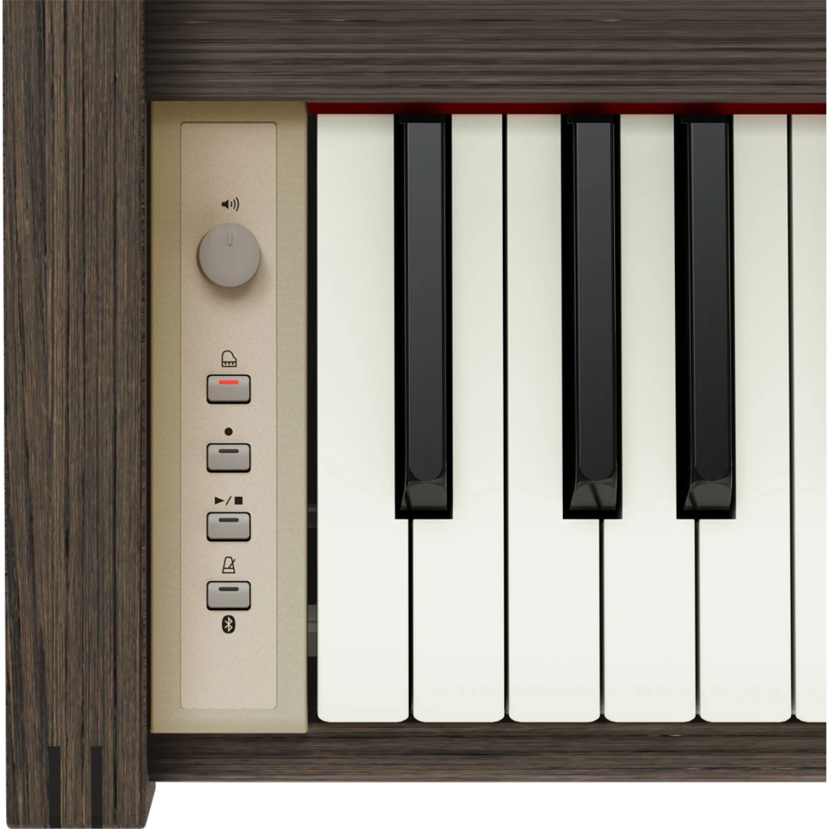 ben trai dan piano dien roland kiyola kf 25