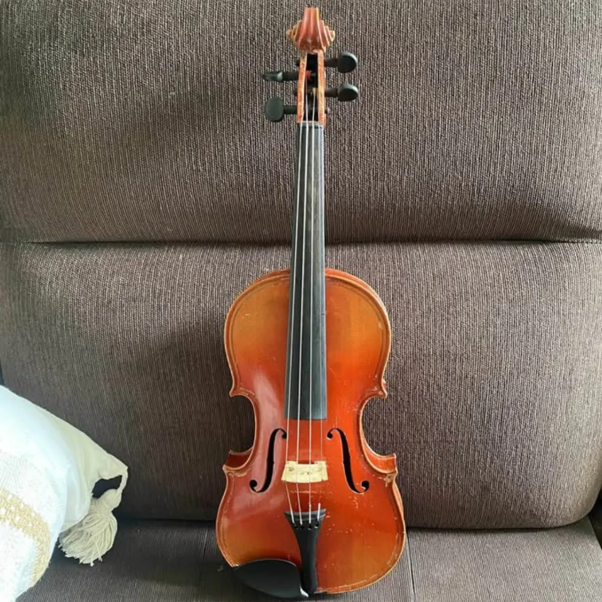 dan violin cu ban tren hoi nhom facebook