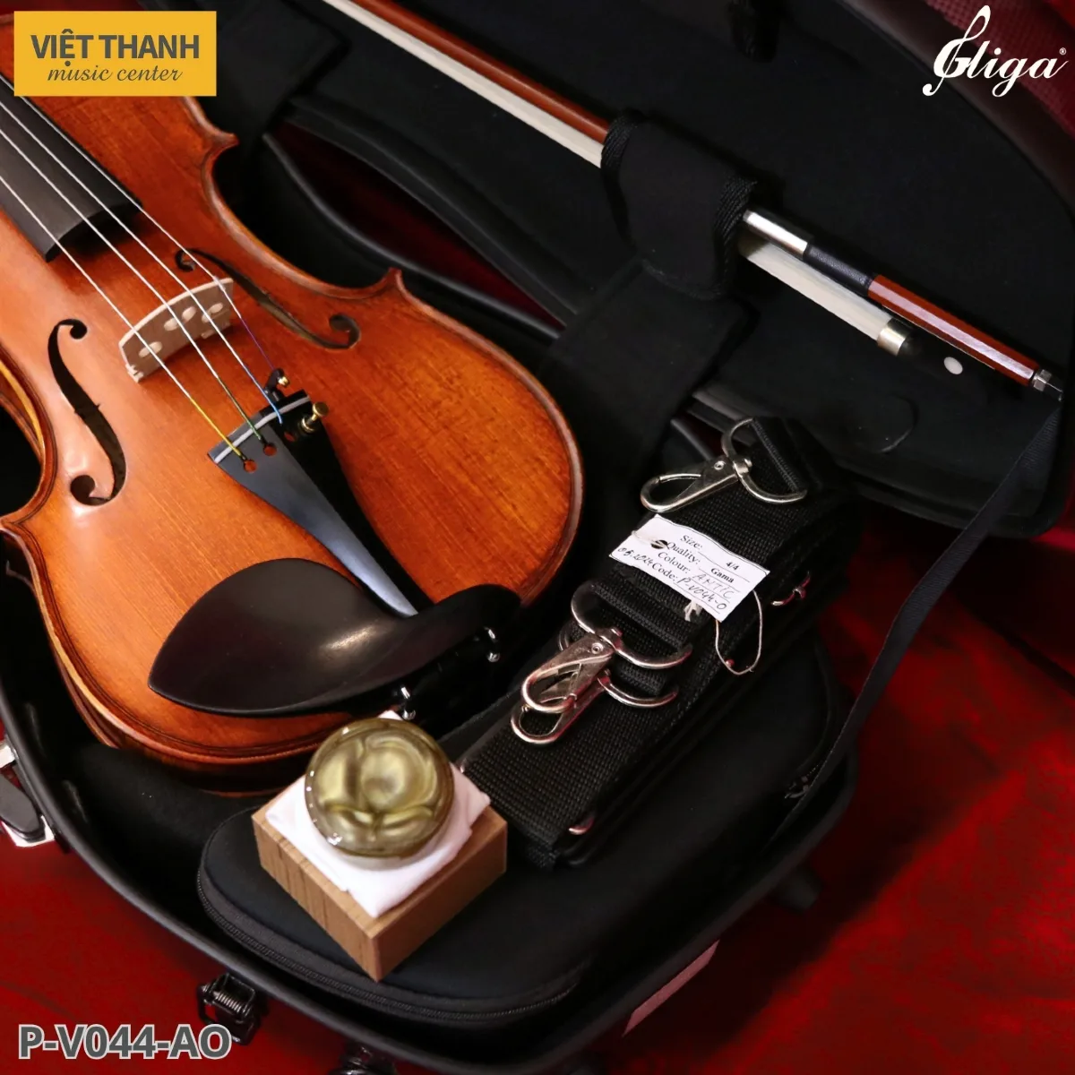 dan violin gliga gama p v044 ao kem phu kien