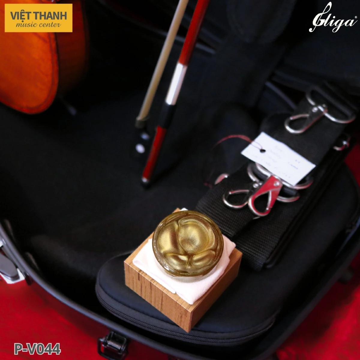 dan violin gliga gama p v044 kem phu kien