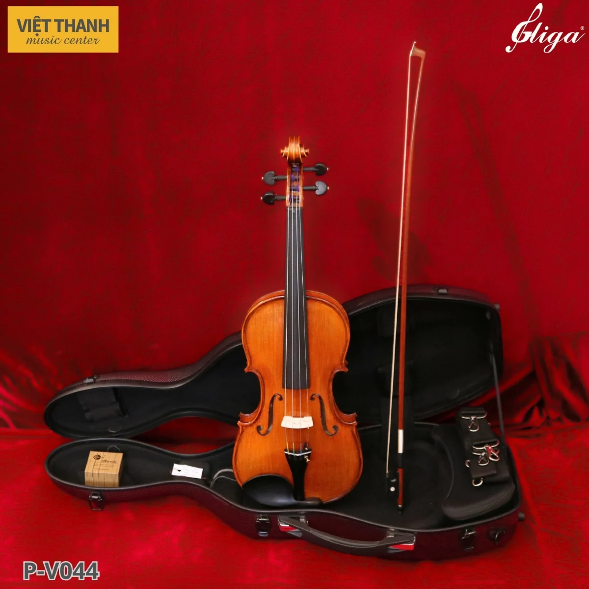 dan violin gliga gama p v044