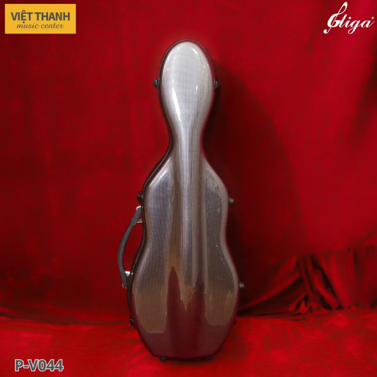 hop dung dan violin gliga gama p v044