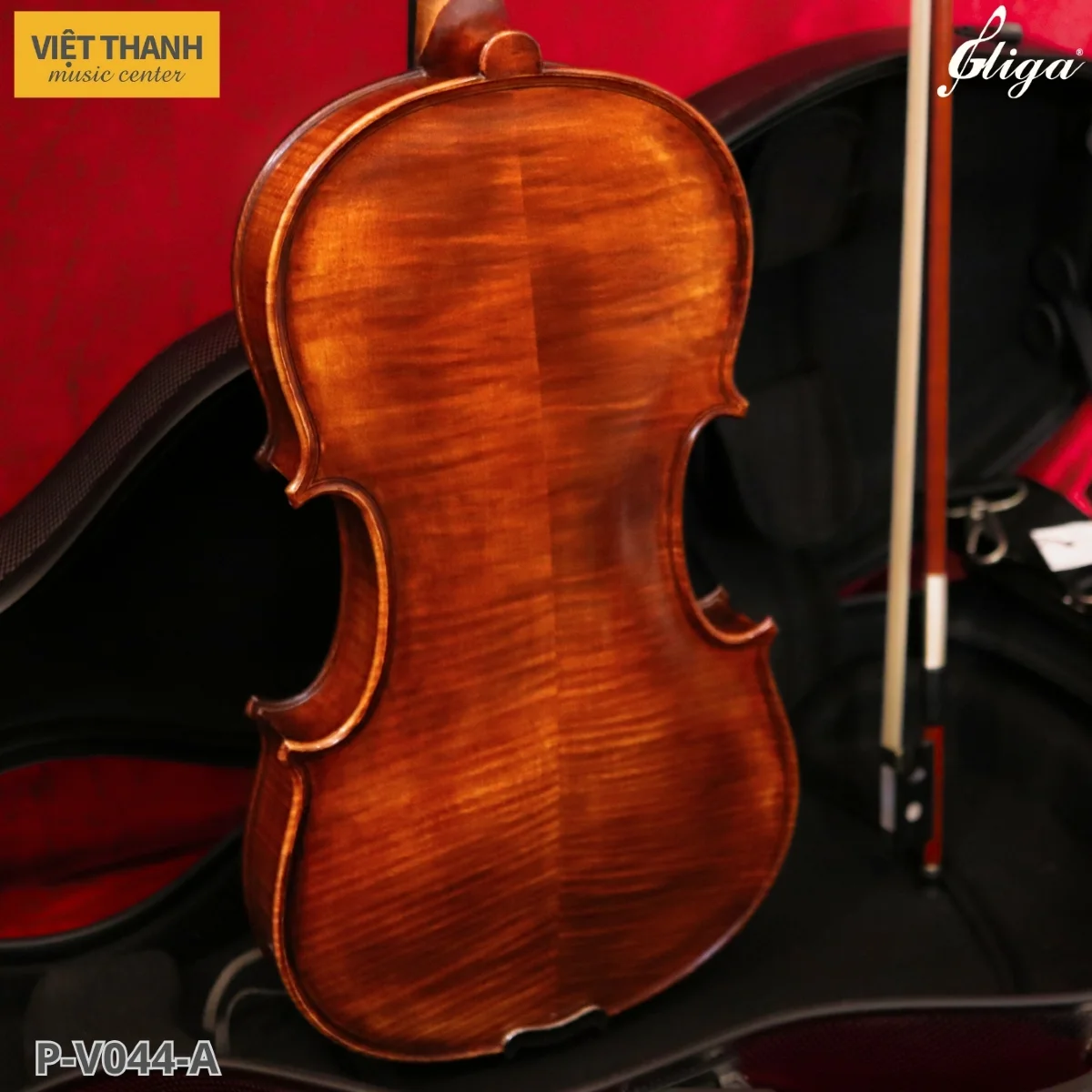 mat lung dan violin gliga gama p v044 a