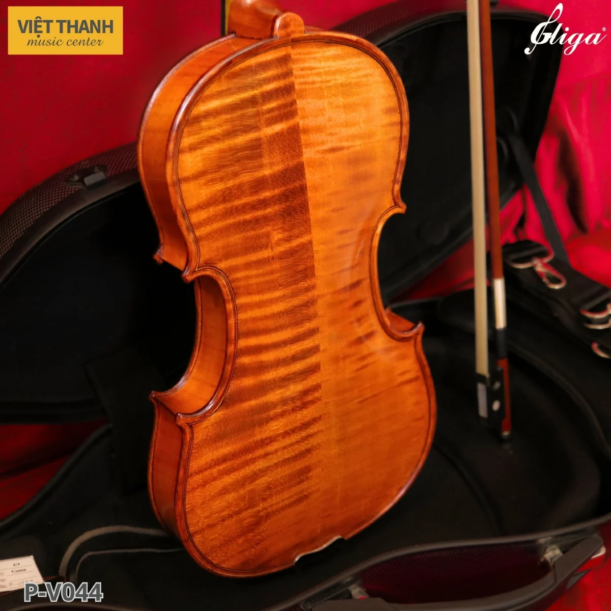 mat lung dan violin gliga gama p v044