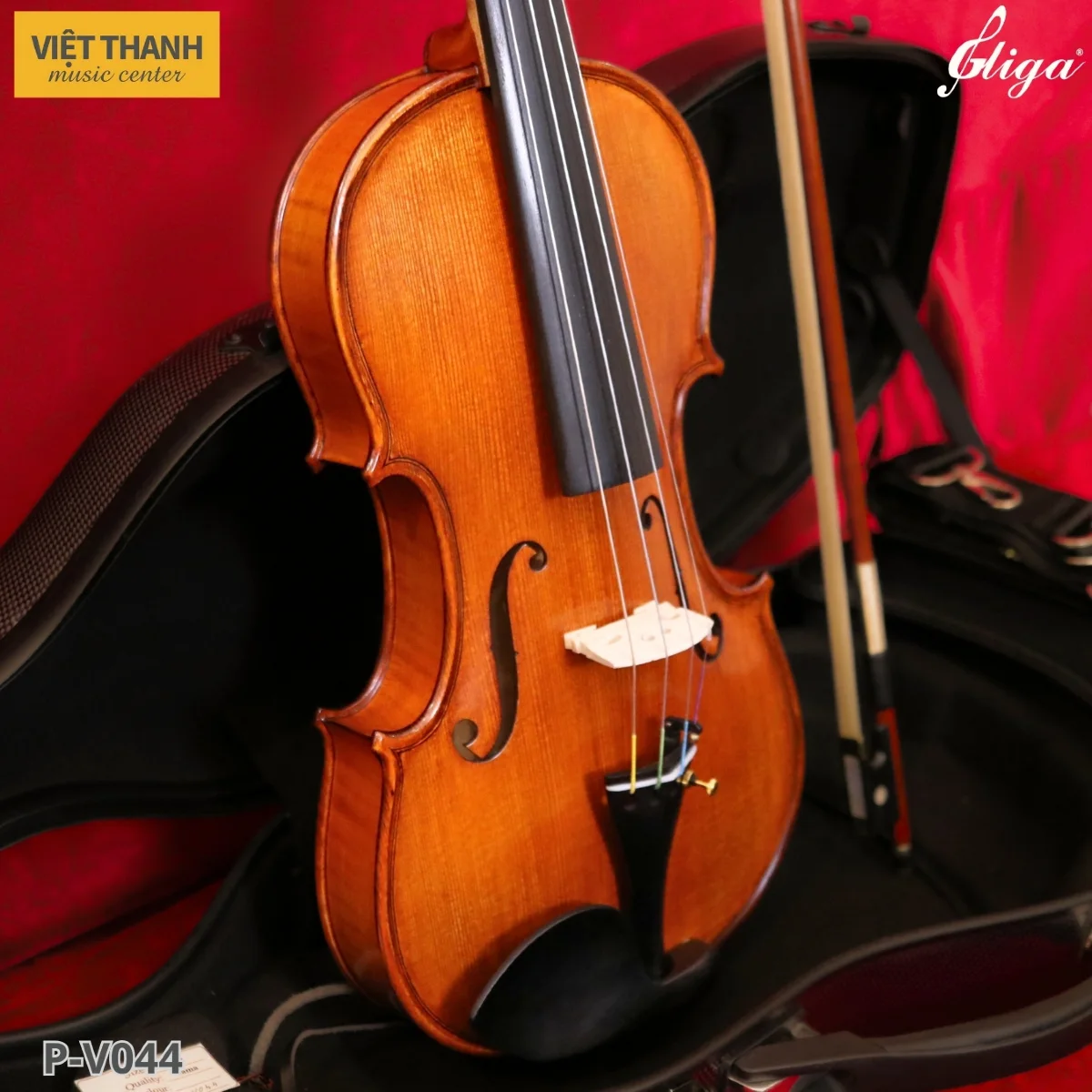 mat top dan violin gliga gama p v044